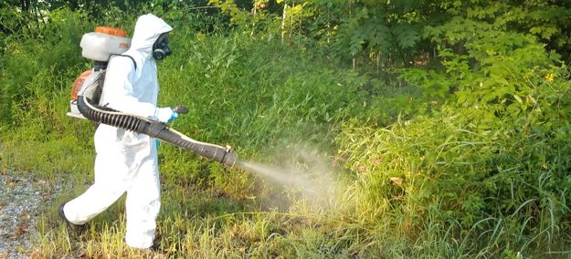 Residential Exterminators